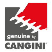 Cangini